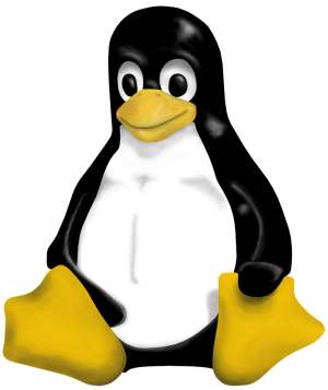 Linux penguin